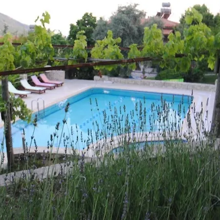 빌라 5 Yatak Odali Villa *